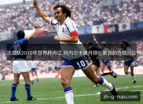法国队2010年世界杯内讧 阿内尔卡被开除与罢训的连锁反应 法国队2010年世界杯内讧 阿内尔卡被开除与罢训的连锁反应